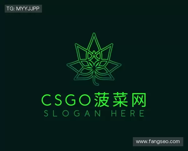 了解csgo菠菜网