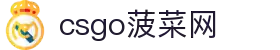 csgo菠菜网(中国区)有限公司官网